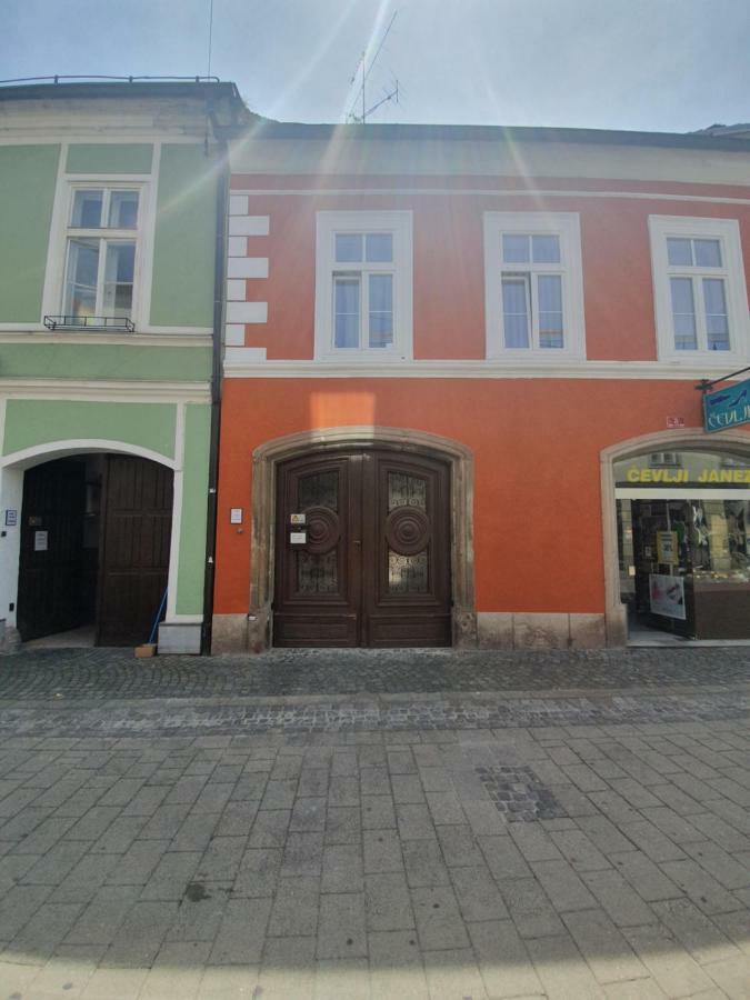 Minidorm Rooms In Heart Of City Center Maribor Eksteriør bilde